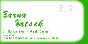 barna hatsek business card